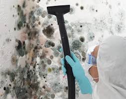 Best Mold Removal for HVAC Installations  in Dillonvale, OH